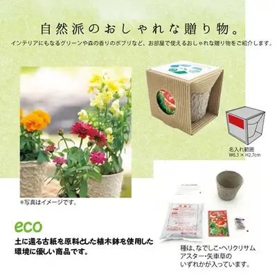 なでしこ、ヘリクリサム、アスター、矢車草の4種の種がアソートになっています。 なでしこ、ヘリクリサム、アスター、矢車草の4種の種がアソートになっています。