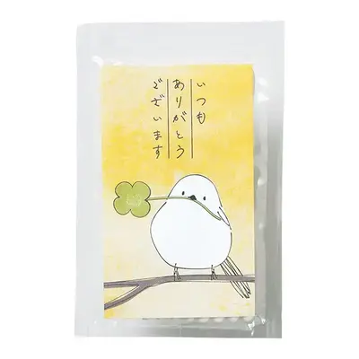 携帯にも便利な10本入りです。 携帯にも便利な10本入りです。