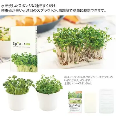 ブック型ケースに入れられたスプラウトの育成キット。 ブック型ケースに入れられたスプラウトの育成キット。