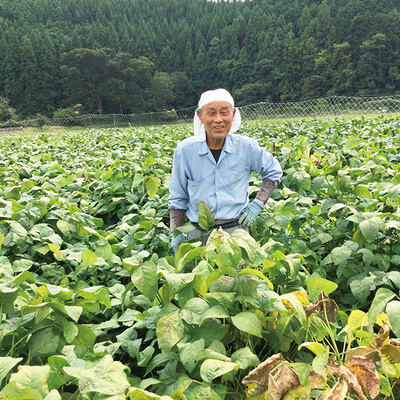 1年のうちわずか3週間しか収穫できない幻の枝豆を大切なお客様に直接お届けします。