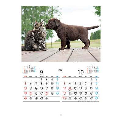 かわいいペットの画像が詰まったカレンダーです。年末年始のご挨拶に。 かわいいペットの画像が詰まったカレンダーです。年末年始のご挨拶に。