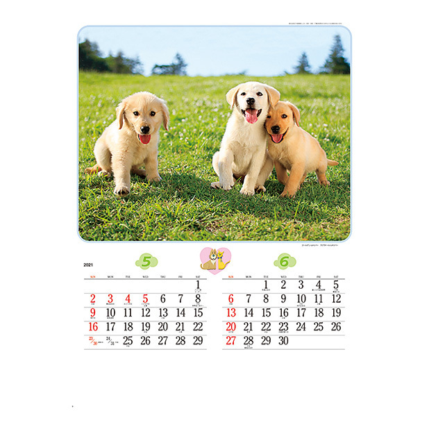 犬や猫の表情に癒されるカレンダーです。