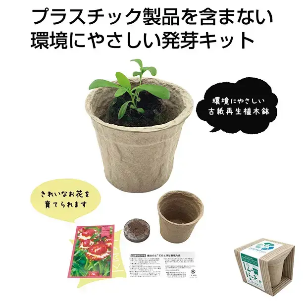 古紙再生植木鉢で育てる花の種です。