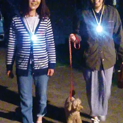 夜間の散歩に 夜間の散歩に