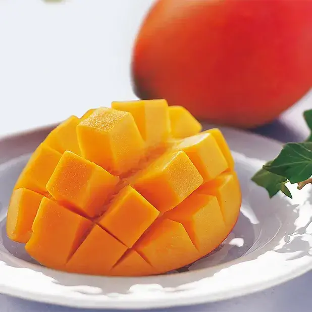 本来の味を堪能できる完熟で収穫したマンゴーです。