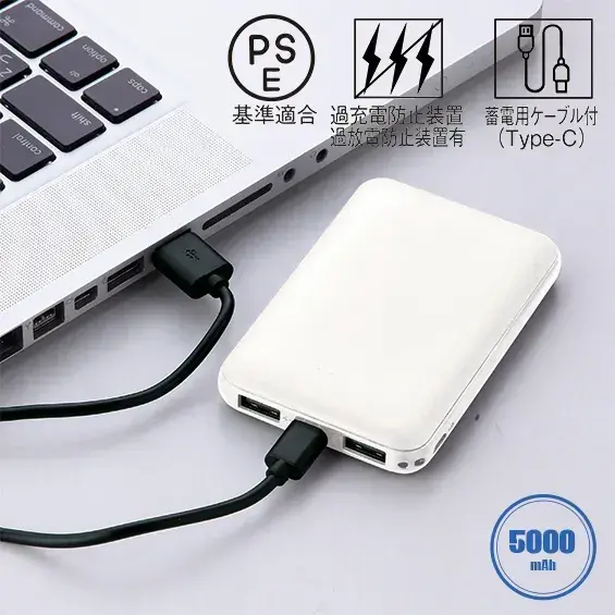 付属のType-Cケーブルを介し、PCから充電できます。