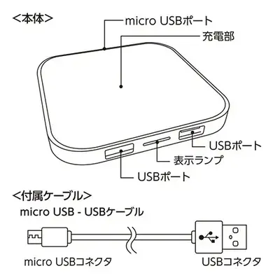 本体の詳細