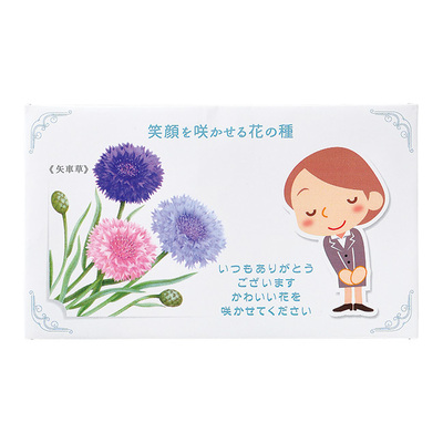 矢車草 矢車草