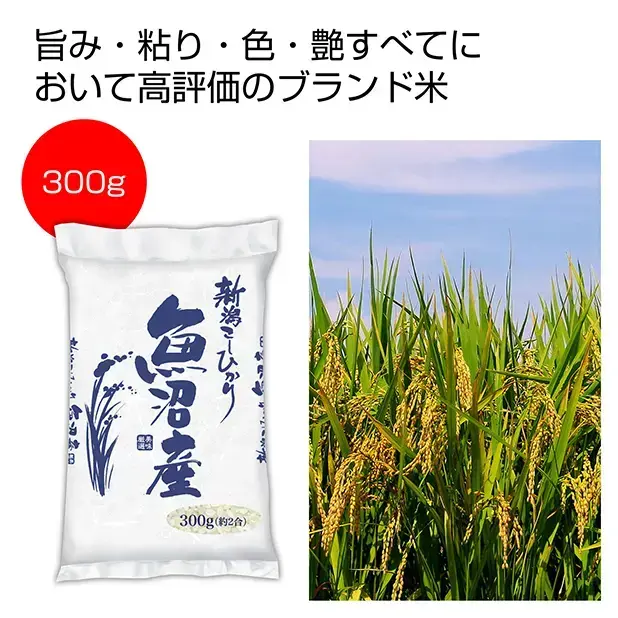 旨み、粘り、色、つやすべてにおいて高評価のブランド米。日本人の主食であるコメは粗品・景品の代表格。