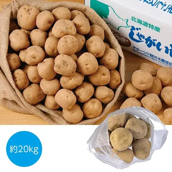 北海道産 男爵じゃがいも詰め放題セット20kg(約20人用)