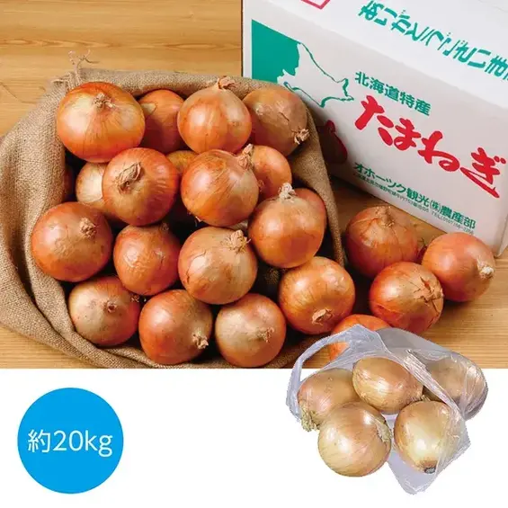 北海道産 玉ねぎ詰め放題セット20kg(約20人用)