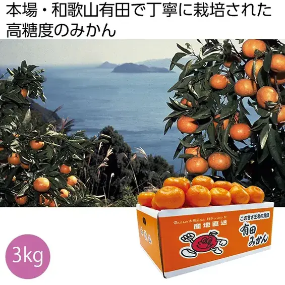 和歌山県「小南農園」有田みかん3kg