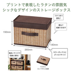 いろいろ収納 フタ付ボックス