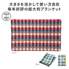 カラフルブロック ビッグブランケット