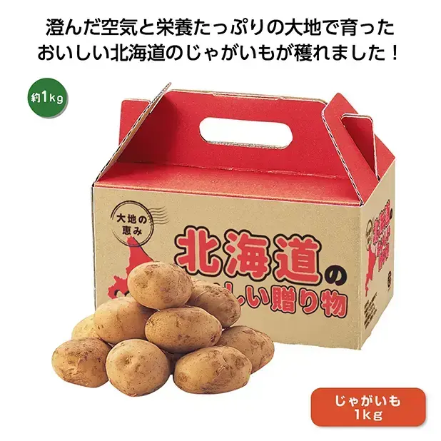 大地の恵み北海道産じゃがいも1kg