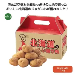 大地の恵み北海道産じゃがいも1kg