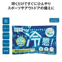 叩いて即冷感!瞬間冷却パック ラージ