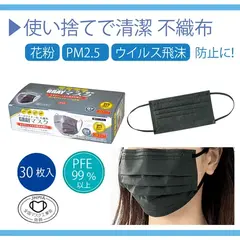 不織布マスク グレー30枚入り