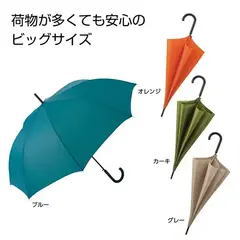 カラフル ビッグジャンプ傘 1本