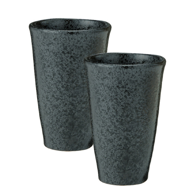 極 フリーカップ2客組